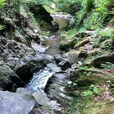 Hotel Natura Winterberg