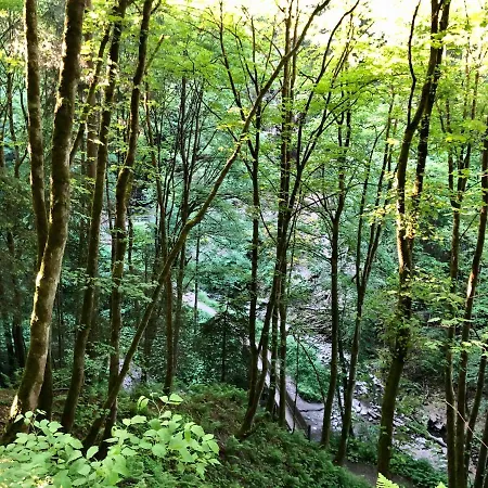 Отель Natura