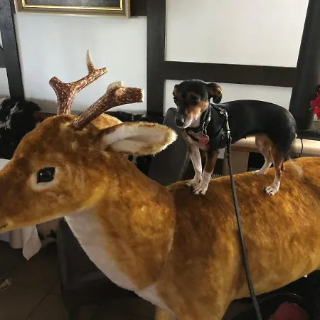 Natura 3* Winterberg