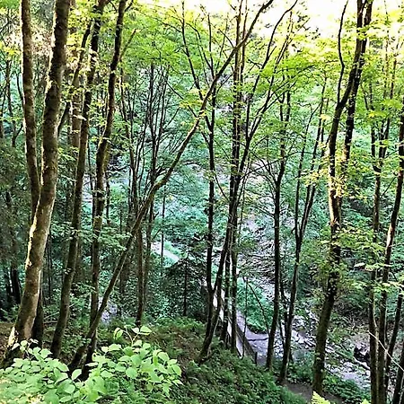 Hotel Natura Winterberg