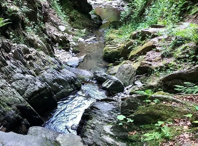 Hotel Natura Winterberg