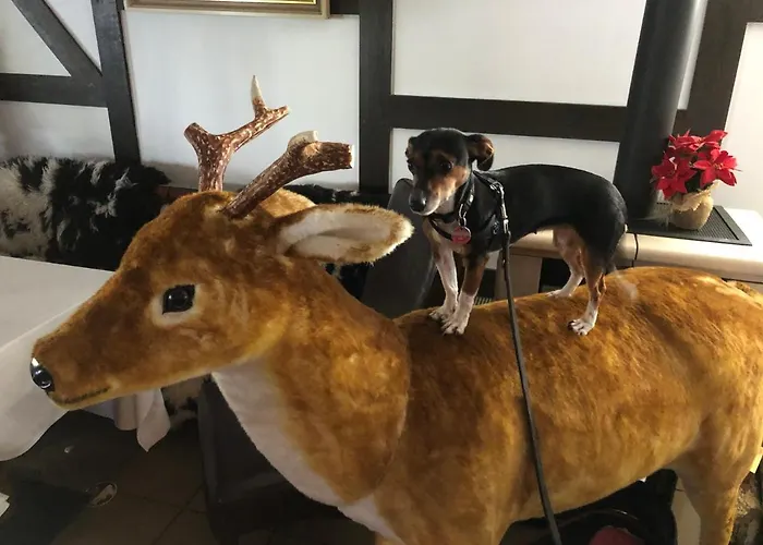 Natura 3* Winterberg